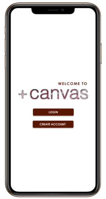 +canvas ux project